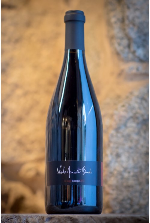 Nicolas Mariotti Bindi Mursaglia rouge 2019