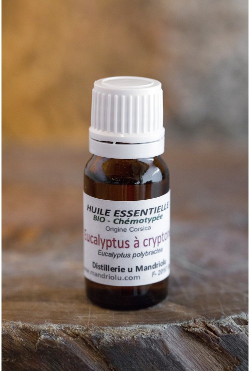 Huile essentielle d&#039;Eucalyptus à Cryptone 10ml