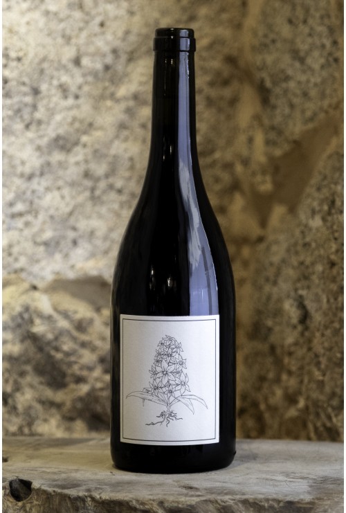 Sant Armettu &amp; Alzipratu , chimère rouge 2023