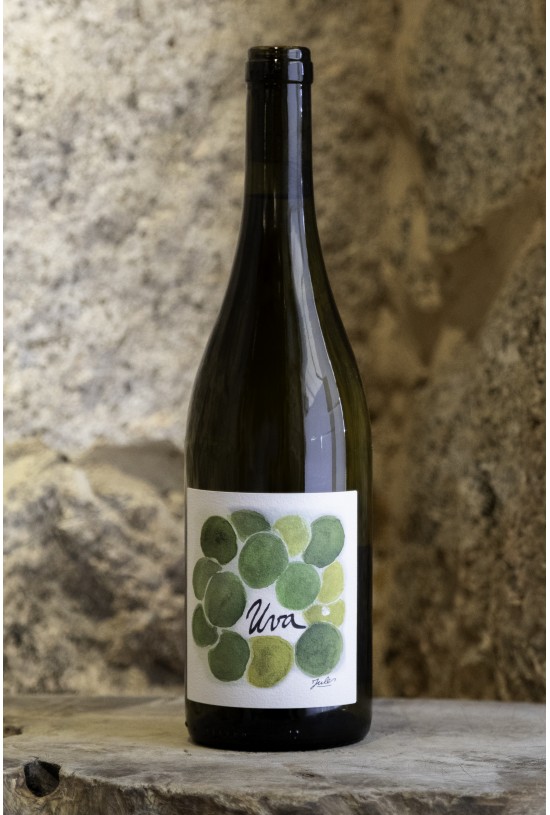 Domaine Marfisi, UVA blanc